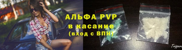 ECSTASY Вяземский